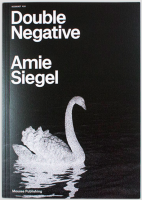 RICOCHET #10. Amie Siegel: Double Negative