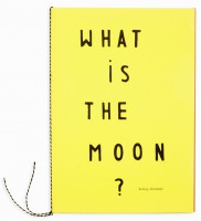 'What is the moon?'