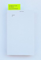 STURM OF LOVE: Ein Verlauf