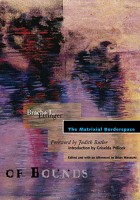 The Matrixial Borderspace (Theory Out Of Bounds)