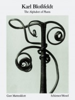 The Alphabet of Plants