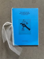 Treize poètes de Cuba