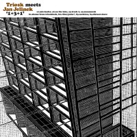 Triosk meets Jan Jelinek: 1+3+1 (LP)