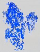 Evi Vingerling 2013