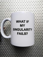 „What If My Singularity Fails?“