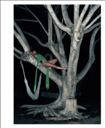Viviane Sassen. In and Out of Fashion