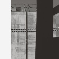 Follower (LP)