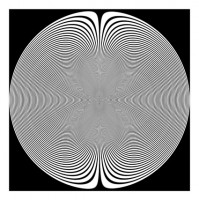 II (vinyl)