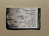 Larch, Spruce, Fir, Birch, Hand, Blast Hole Pond Road, Newfoundland 2007–2026 - Marlene Creates - IMPULSE[b]