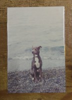 Nombre y forma 5 (postcard)