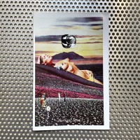 Survival, Issue 1
