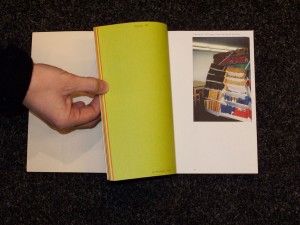 fallenbooks2