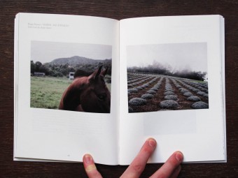 grid06