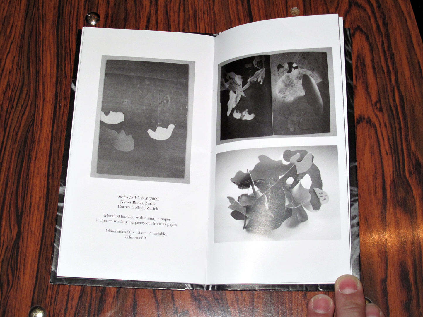 希少本・限定55部】Rick Myers Paper/Memory