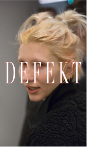Gabriele-Garavaglia_defekt_motto