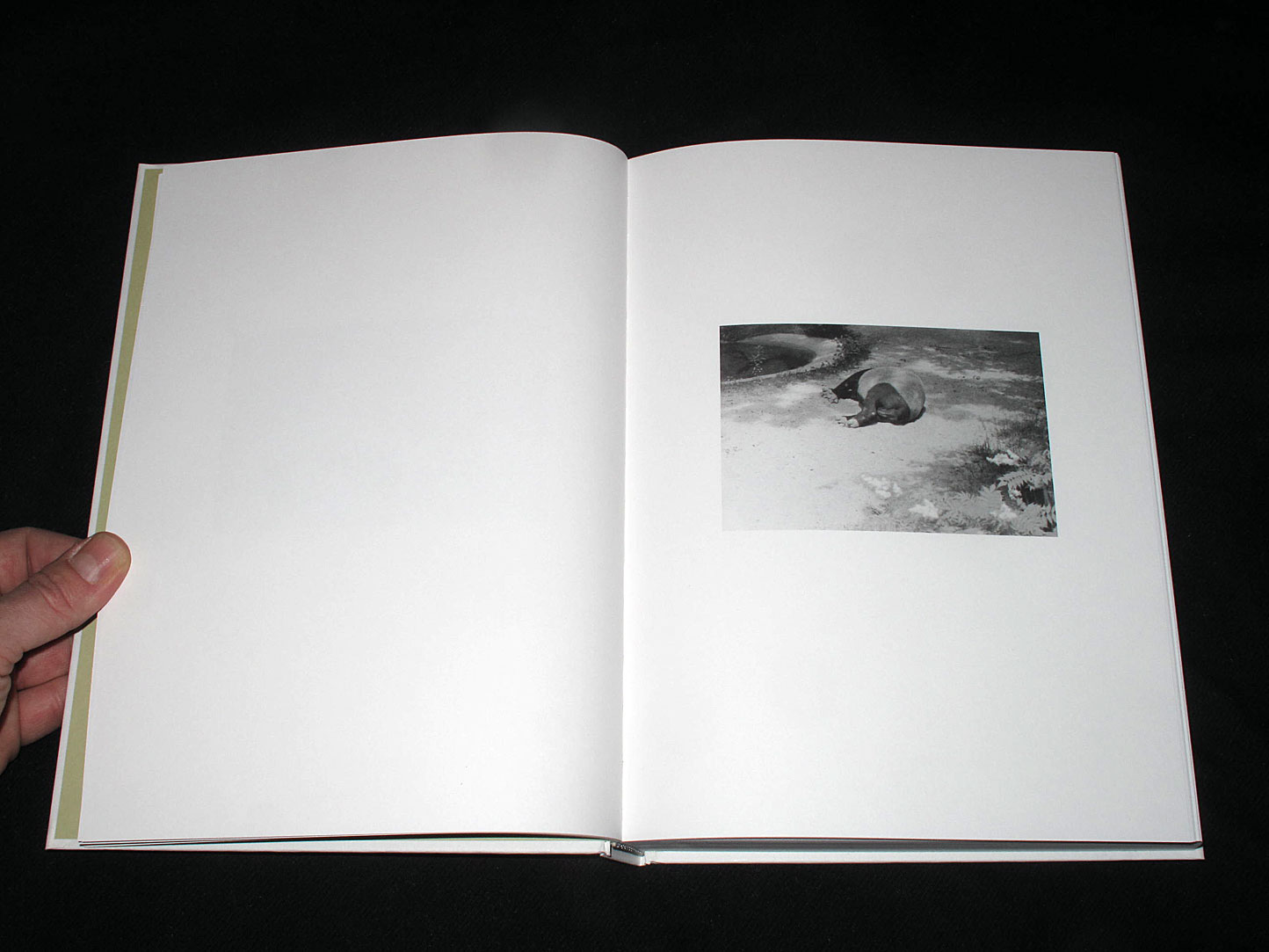 MOTTO DISTRIBUTION » Blog Archive » Phenotype. Jochen Lempert