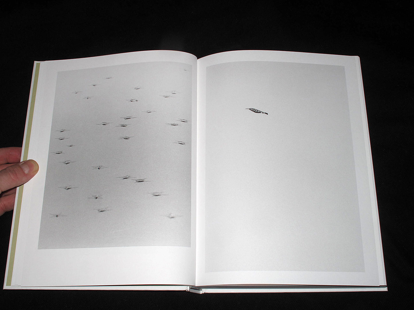 MOTTO DISTRIBUTION » Blog Archive » Phenotype. Jochen Lempert