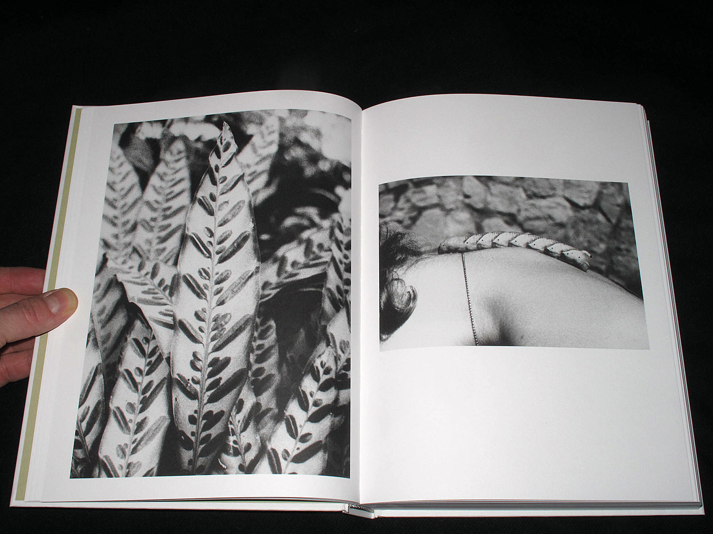 MOTTO DISTRIBUTION » Blog Archive » Phenotype. Jochen Lempert