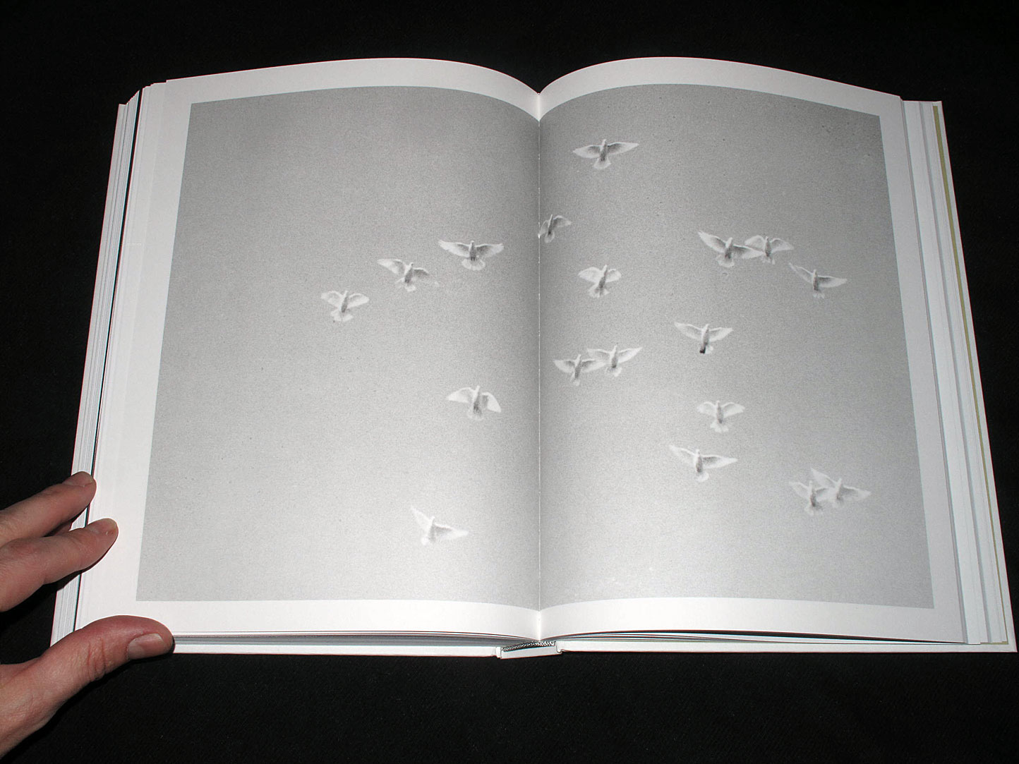 MOTTO DISTRIBUTION » Blog Archive » Phenotype. Jochen Lempert