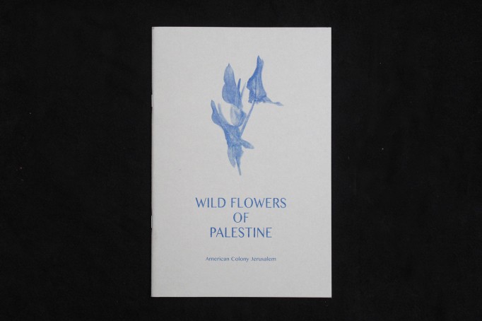 wild flowers palestine_motto distribution1