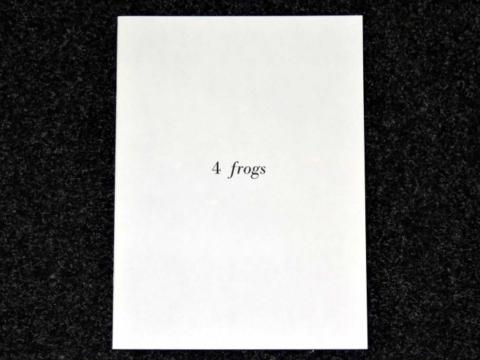 4_Frogs_Jochen_Lempert_Editions_P_Motto_Distribution_1