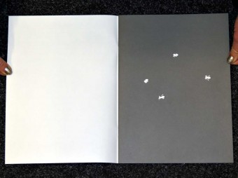 4_Frogs_Jochen_Lempert_Editions_P_Motto_Distribution_2