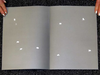 4_Frogs_Jochen_Lempert_Editions_P_Motto_Distribution_4