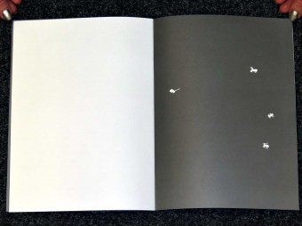 4_Frogs_Jochen_Lempert_Editions_P_Motto_Distribution_8