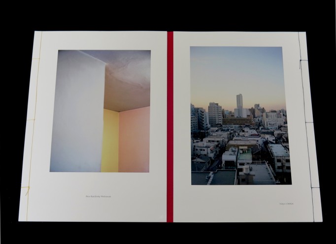 Landscape in Modern Architecture.  Tamami Iinuma(ed.)