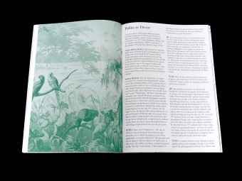 Palm Tree Studies in South Tyrol and Beyond, Nanna Debois Buhl, Humboldt Books 19