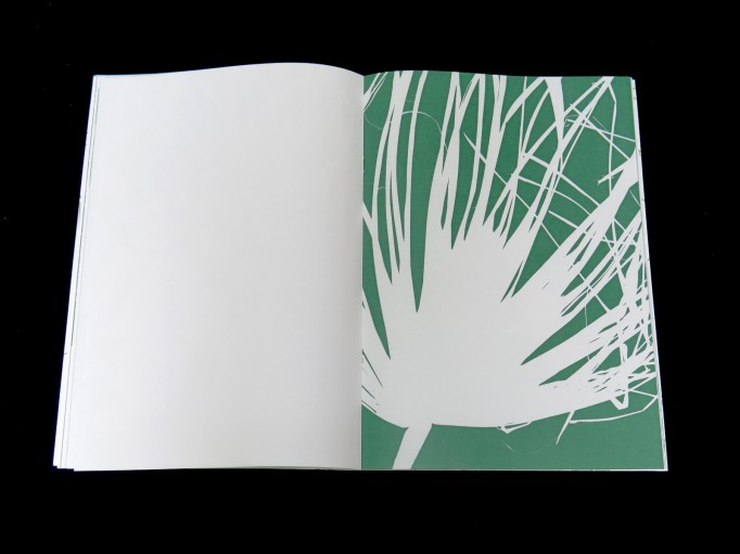 Palm Tree Studies in South Tyrol and Beyond, Nanna Debois Buhl, Humboldt Books 2