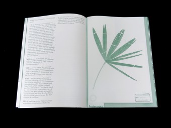 Palm Tree Studies in South Tyrol and Beyond, Nanna Debois Buhl, Humboldt Books