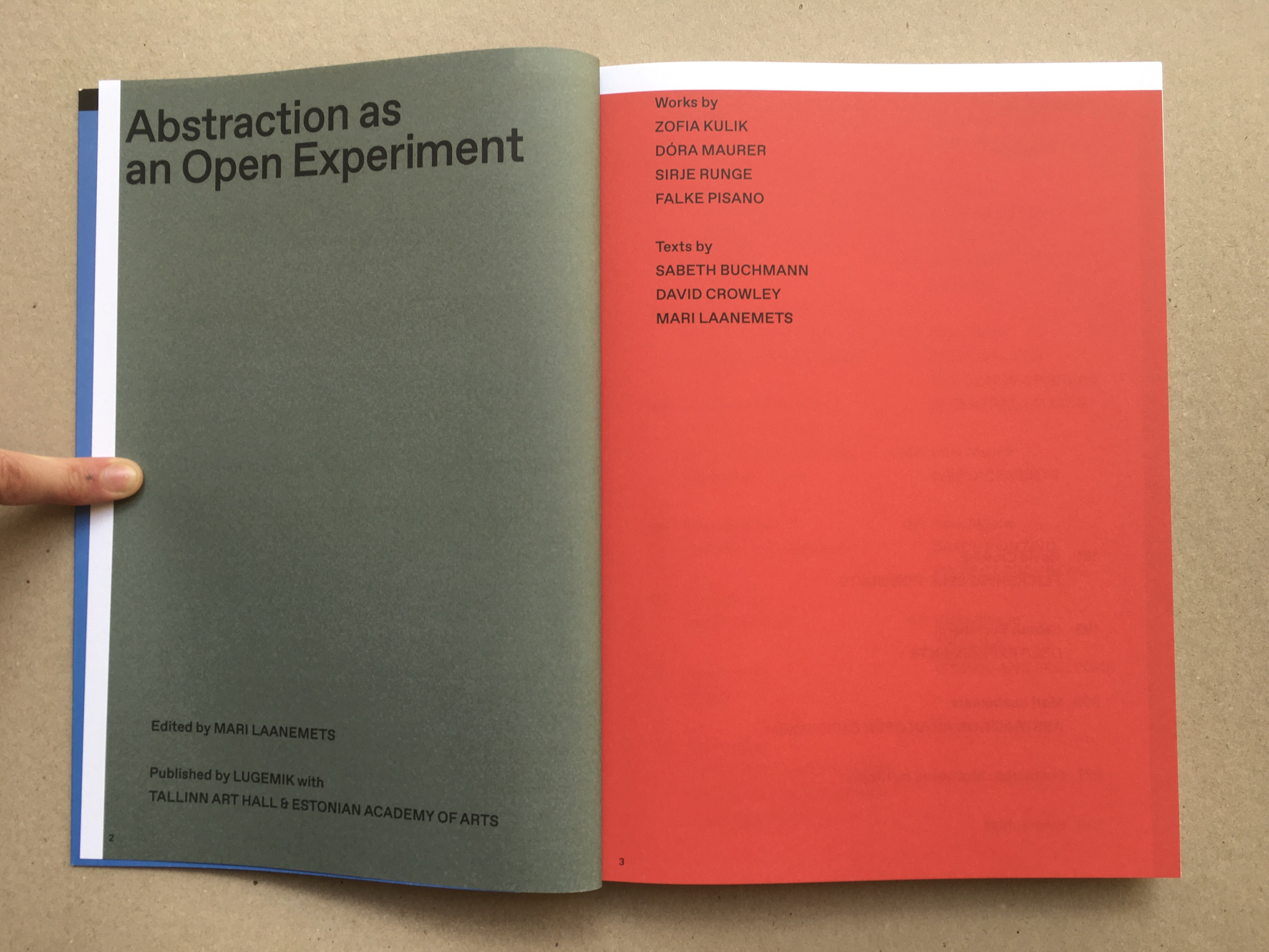 洋書 The Artist of My Experiment 洋書 The Artist of My Experiment 洋書 The Artist of My