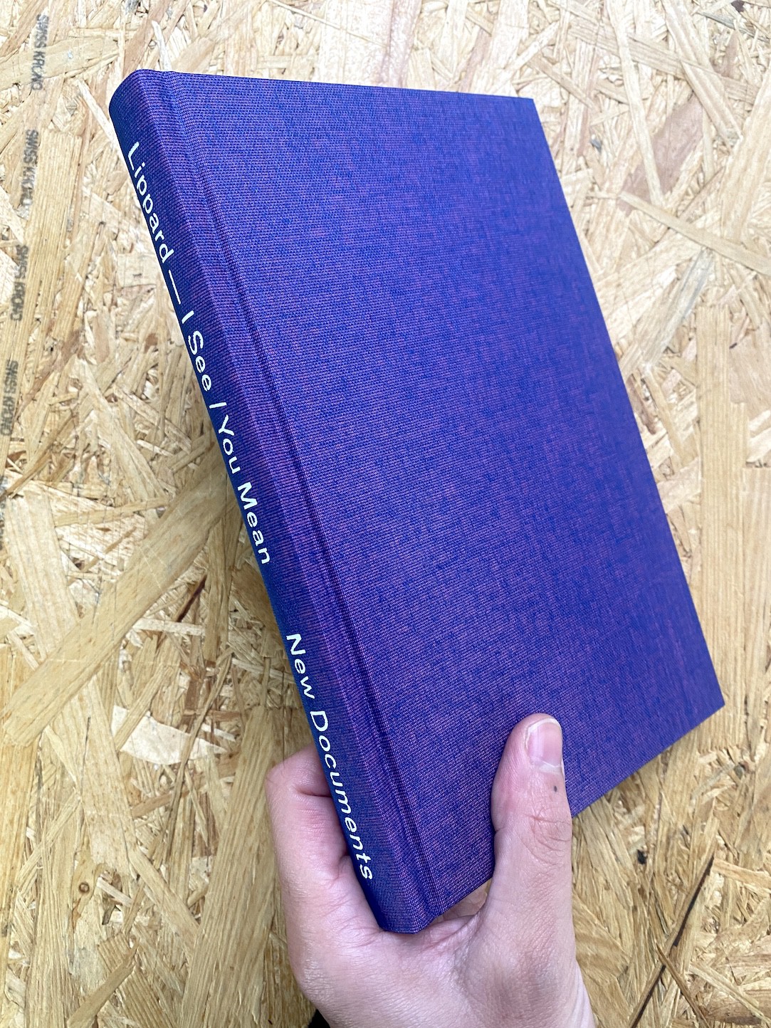 I See / You Mean - Lucy R. Lippard - New Documents