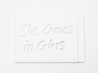 She Comes in Colors: a visual diary of love in thoughts
