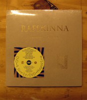 Rafskinna #3 - Reflections