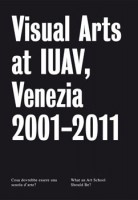 Visual Arts at IUAV, Venezia 2001-2011