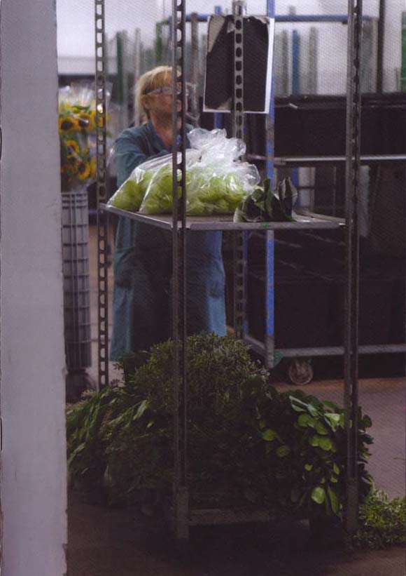 Hofter Monthly 31 Sibylle Hofter Edition Schwimmer