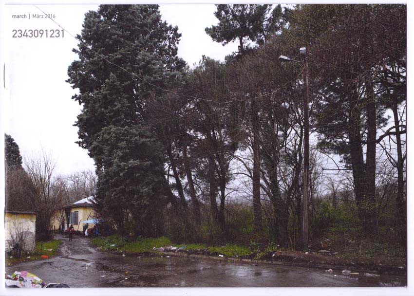 Hofter Monthly 40 Sibylle Hofter Edition Schwimmer