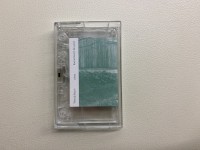 Wassily Bosch plays Rachel Bonch-Bruevich (cassette)