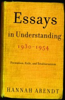 Essays in Understanding