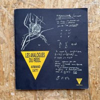 Les analogues du réel