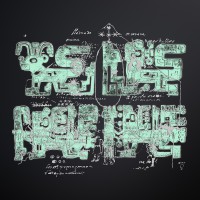 ORCORARA 2010 (2LP)