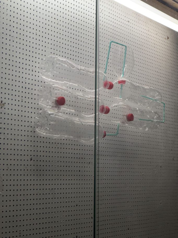 Entre Dos Aguas, Carlos Leòn Zambrano, from 04.02.2025 - 01.03.2025, Motto Berlin