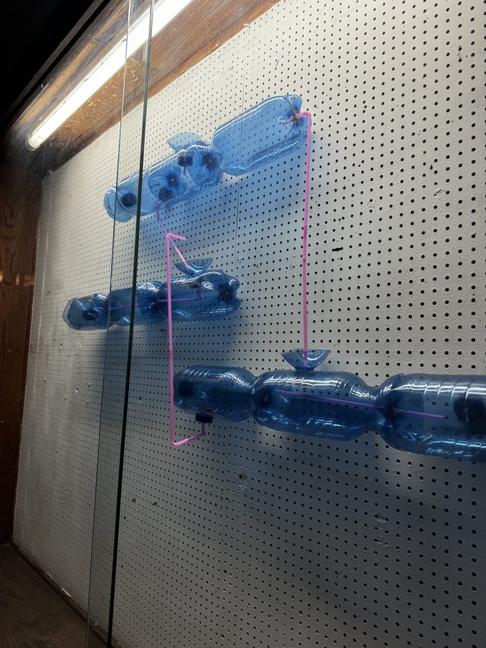 Entre Dos Aguas, Carlos Leòn Zambrano, from 04.02.2025 - 01.03.2025, Motto Berlin