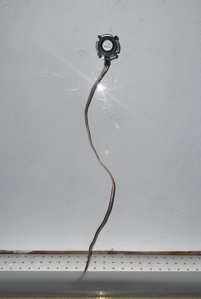 Entre Dos Aguas, Carlos Leòn Zambrano, from 04.02.2025 - 01.03.2025, Motto Berlin