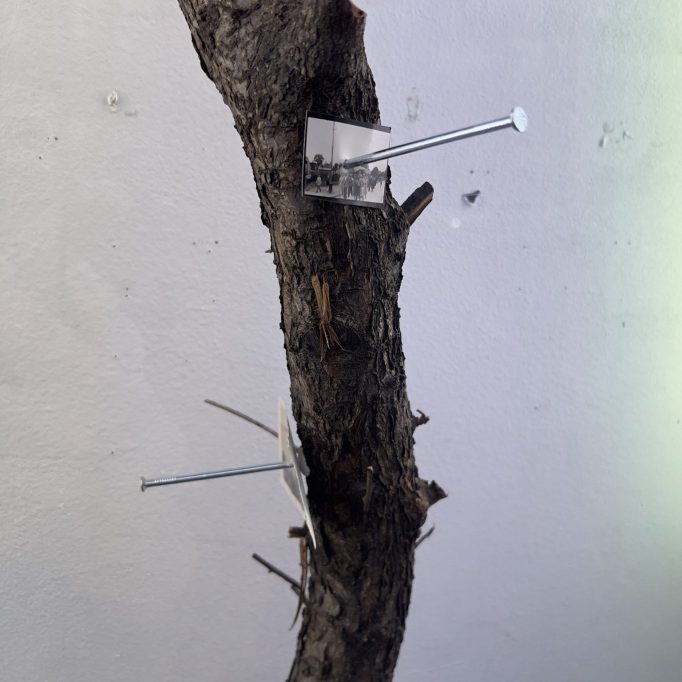 06 - It’s going to snow soon, Hutong Pimp & Cai DongDong, 24.11.2025 - 31.12.2024, Motto Berlin