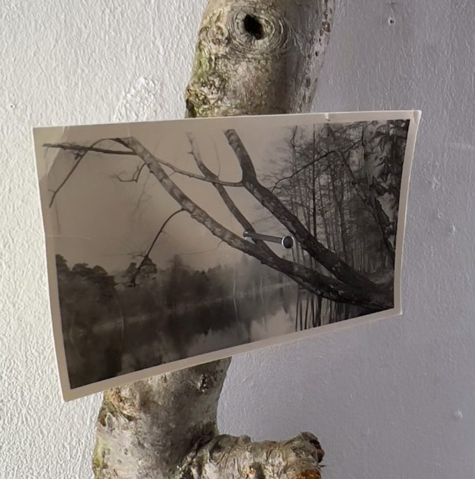 06 - It’s going to snow soon, Hutong Pimp & Cai DongDong, 24.11.2025 - 31.12.2024, Motto Berlin