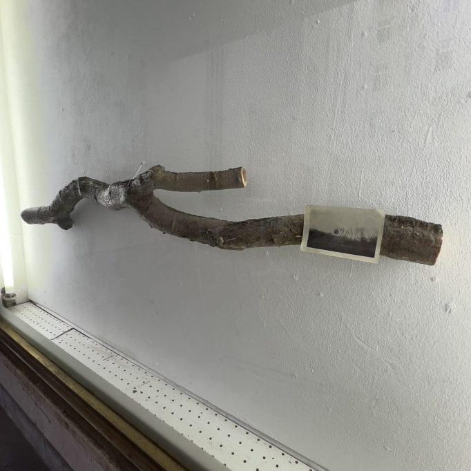 06 - It’s going to snow soon, Hutong Pimp & Cai DongDong, 24.11.2025 - 31.12.2024, Motto Berlin