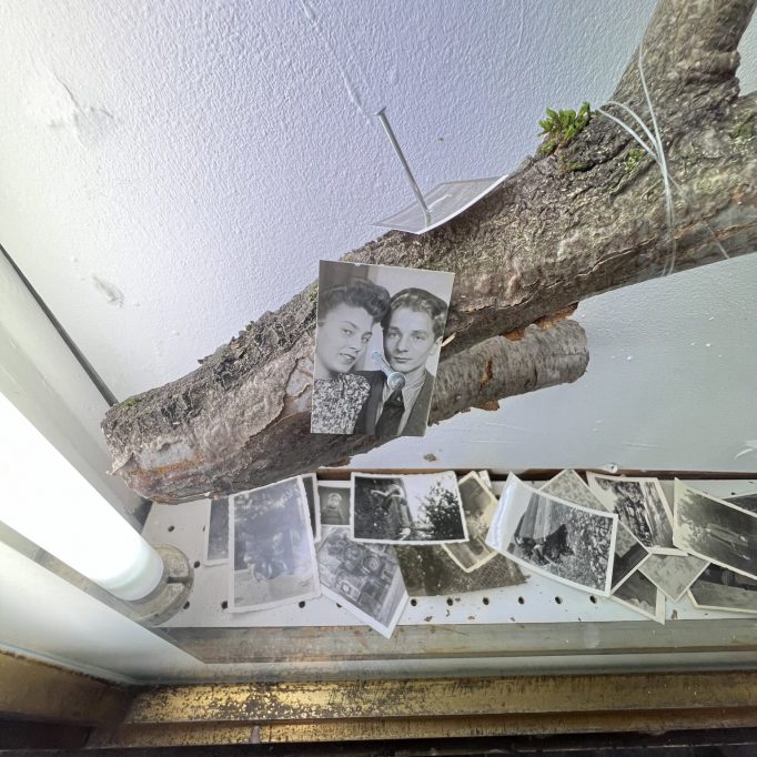 06 - It’s going to snow soon, Hutong Pimp & Cai DongDong, 24.11.2025 - 31.12.2024, Motto Berlin